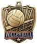 Hasty Awards 2.5" Shield Volleyball Medals
