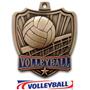Hasty Awards 2.5" Shield Volleyball Medals