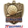 Hasty Awards 2.5" Shield Volleyball Medals