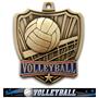 Hasty Awards 2.5" Shield Volleyball Medals