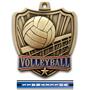 Hasty Awards 2.5" Shield Volleyball Medals