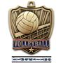 Hasty Awards 2.5" Shield Volleyball Medals