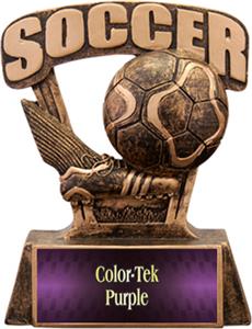 PURPLE COLOR-TEK LABEL