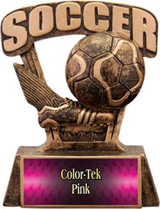 PINK COLOR-TEK LABEL