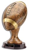 Hasty Awards Football 13" Team Trophies Award