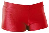 Pizzazz Cheerleaders/Dance Hot Shorts
