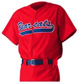 Alleson PROWJY Youth Full Button Baseball Jerseys Alleson PROWJY Youth Full Button Baseball Jerseys