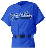 Alleson PROWJY Youth Full Button Baseball Jerseys Alleson PROWJY Youth Full Button Baseball Jerseys