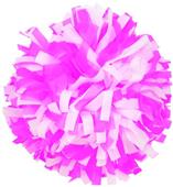 Getz Youth Cheerleaders 2 Color Mix Poms SW11SP Getz Youth Cheerleaders 2 Color Mix Poms SW11SP