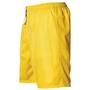 Alleson 569P Adult eXtreme Mesh Athletic Shorts