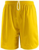 Soffe Polyester Birds Eye Mesh Shorts Tricot Liner Soffe Polyester Birds Eye Mesh Shorts Tricot Liner