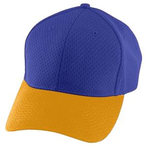 PURPLE/ GOLD