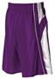 Alleson 547P2 Adult Dazzle Basketball Shorts