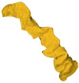 Cheer Fantastic Stretch Nylon Scrunchie Hair Ties