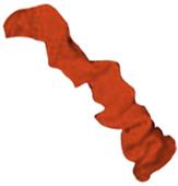 Cheer Fantastic Stretch Nylon Scrunchie Hair Ties