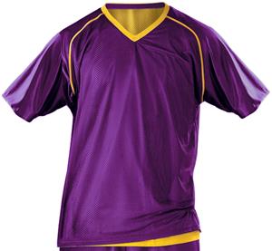 Outside: PURPLE, Inside: LIGHT GOLD