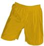 Eagle Dazzle Basketball Shorts