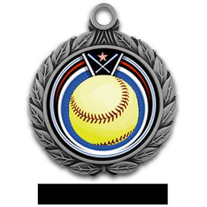SILVER/BLACK RIBBON