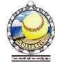 Hasty Awards Softball HD Insert Medals M-4401