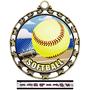 Hasty Awards Softball HD Insert Medals M-4401