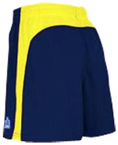 NAVY/GOLD