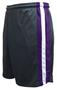 Pennant Flatback Mesh Club Shorts