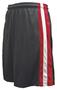 Pennant Flatback Mesh Club Shorts