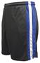 Pennant Flatback Mesh Club Shorts