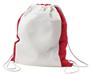 Holloway Home & Away Cinch Bag