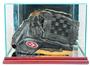 Perfect "Baseball Glove" Rectangle Display Cases