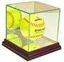 Perfect "Softball" Display Cases