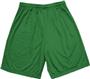 Adult Varsity Inseam Mesh Shorts Closeout