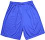 Adult Varsity Inseam Mesh Shorts Closeout