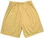 Adult Varsity Inseam Mesh Shorts Closeout