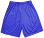 Adult Varsity 9" Inseam Mesh Shorts Closeout