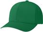 Richardson 170 "Training Cap" Flexfit Baseball Cap