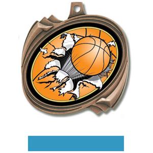 BRONZE MEDAL/LT. BLUE RIBBON