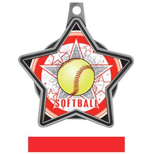 SILVER MEDAL / RED RIBBON
