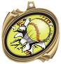 Hasty Awards Softball Bust-Out Insert Medals
