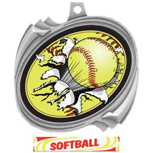 SILVER/DELUXE SOFTBALL RIBBON