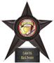 Hasty Awards Softball Stellar Ice 7" Trophies