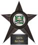 Hasty Awards Softball Stellar Ice 7" Trophies