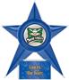 Hasty Awards Softball Stellar Ice 7" Trophies