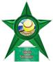 Hasty Awards Softball Stellar Ice 7" Trophies