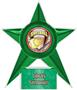 Hasty Awards Softball Stellar Ice 7" Trophies