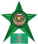 Hasty Awards Softball Stellar Ice 7" Trophies