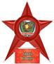 Hasty Awards Softball Stellar Ice 7" Trophies