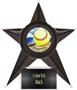 Hasty Awards Softball Stellar Ice 7" Trophies