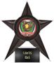 Hasty Awards Softball Stellar Ice 7" Trophies