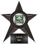 Hasty Awards Softball Stellar Ice 7" Trophies